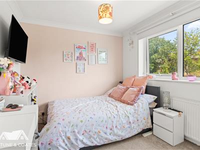 Picture 20